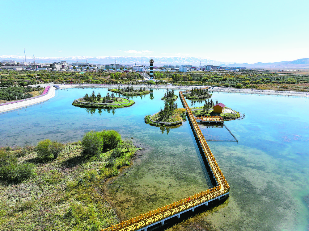 1701219253635856.jpg 1.jpg