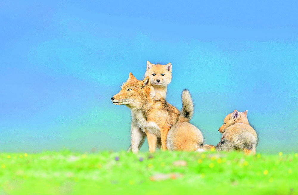 1705458828703403.jpg 1.jpg