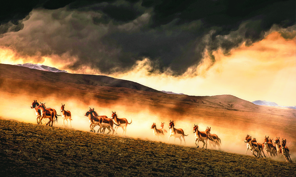 1705458834655320.jpg 2.jpg