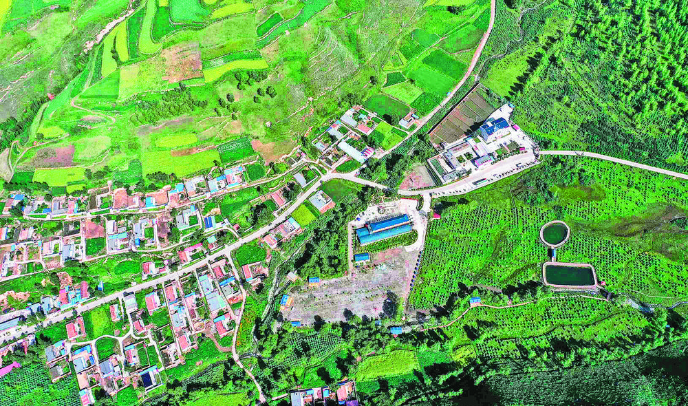 1705458840256344.jpg 3.jpg