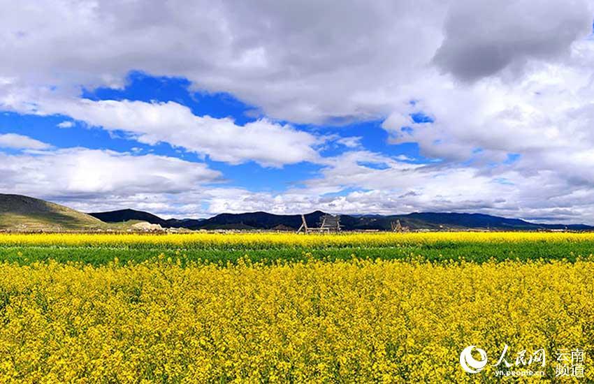 1496714386995625.jpg 1.jpg