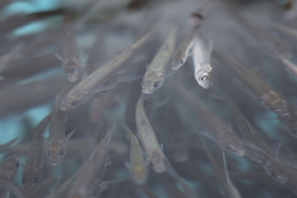 1689232131443663.jpg 12.jpg