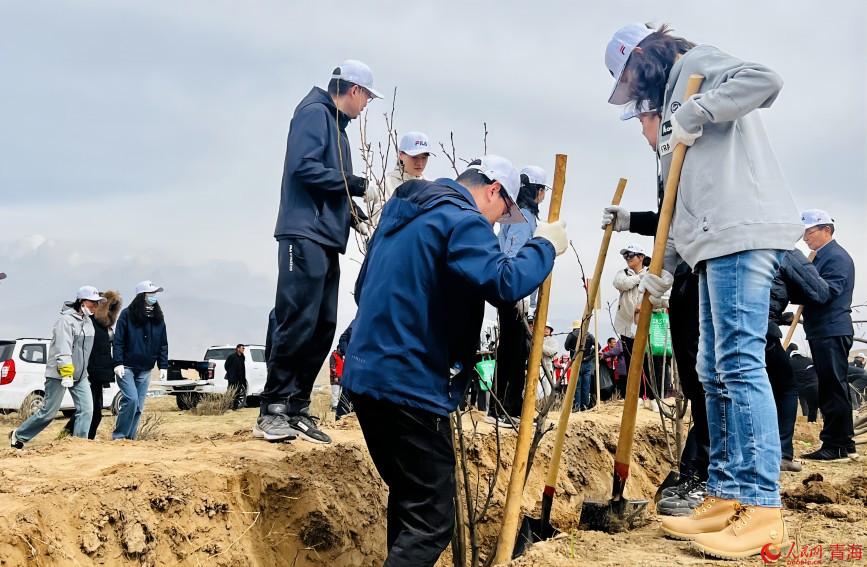 植樹活動現(xiàn)場。人民網(wǎng) 顧斐菲攝