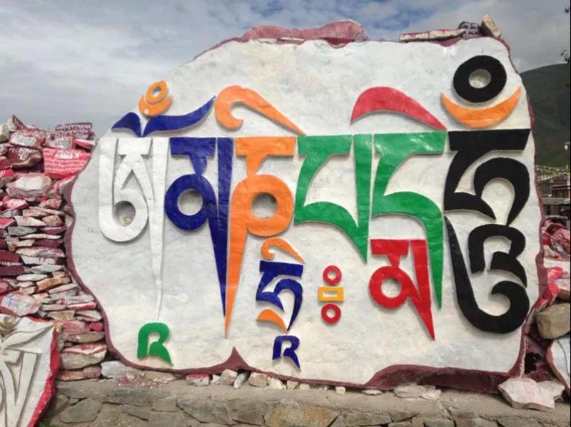 1600310070208719.jpg 2.jpg