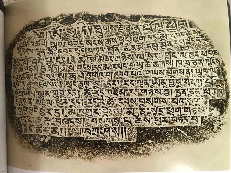 1600310469784056.jpg 8.jpg