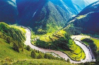 1586224006810759.jpg 1.jpg