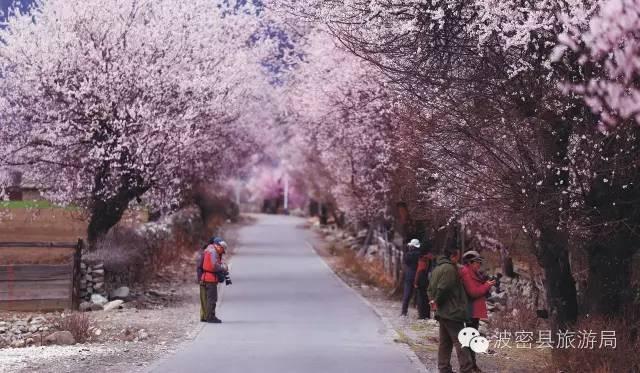 1478738830888075.jpg IMG_1190.JPG