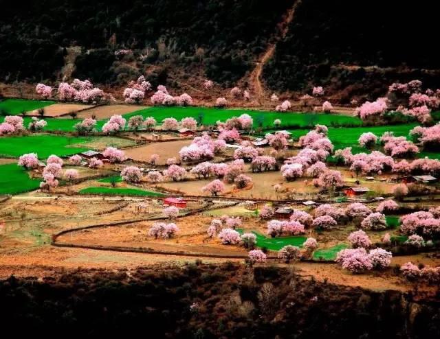 1478738842299223.jpg IMG_1191.JPG