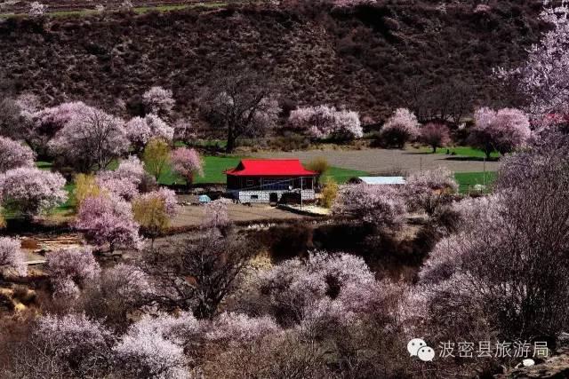 1478738896187706.jpg IMG_1193.JPG