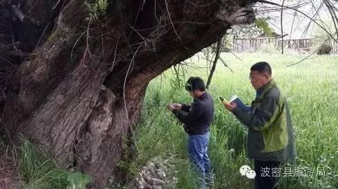 1478738955996819.jpg IMG_1194.JPG