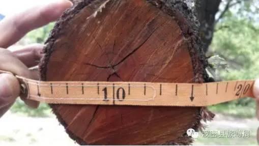 1478739146102450.jpg IMG_1196.JPG