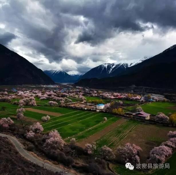 1478739285976523.jpg IMG_1201.JPG