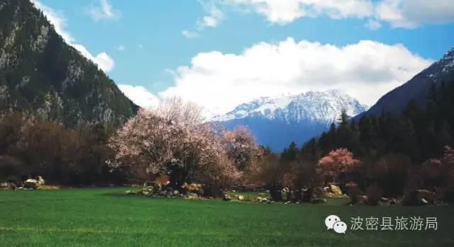 1478739425836945.jpg IMG_1205.JPG