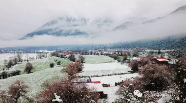 1478739437718424.jpg IMG_1206.JPG