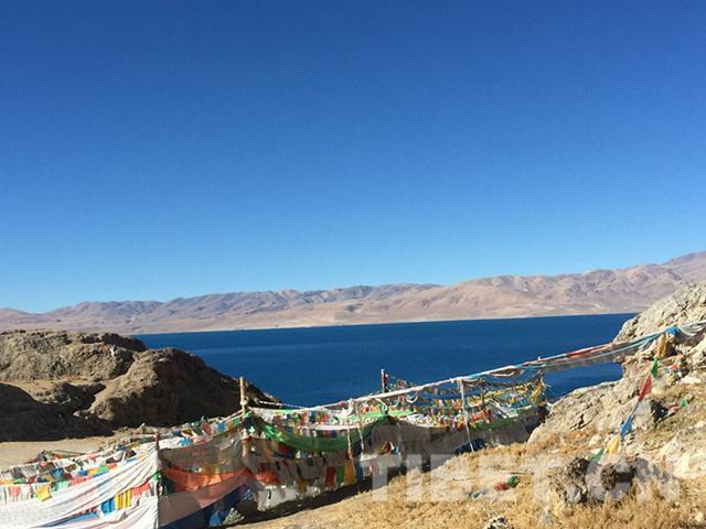 1481001091589372.jpg 1.jpg