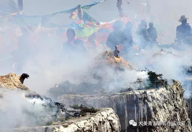 1499075711202094.jpg 36.jpg