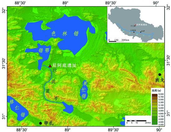 1545915864713913.jpg 1.jpg