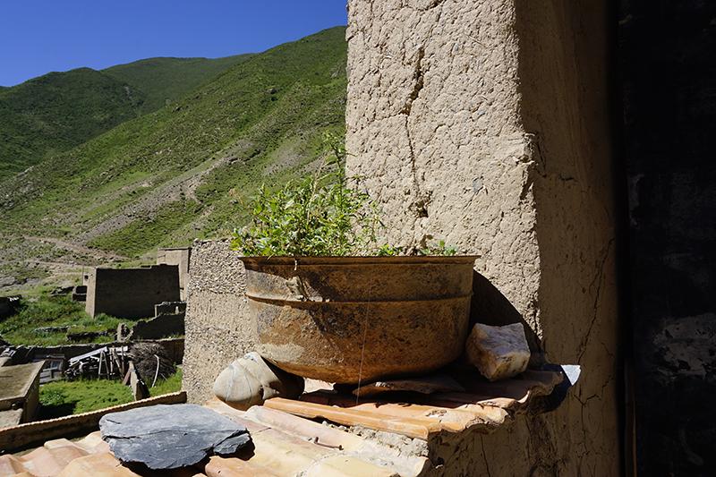 1553217944522650.jpg 2 (1).JPG