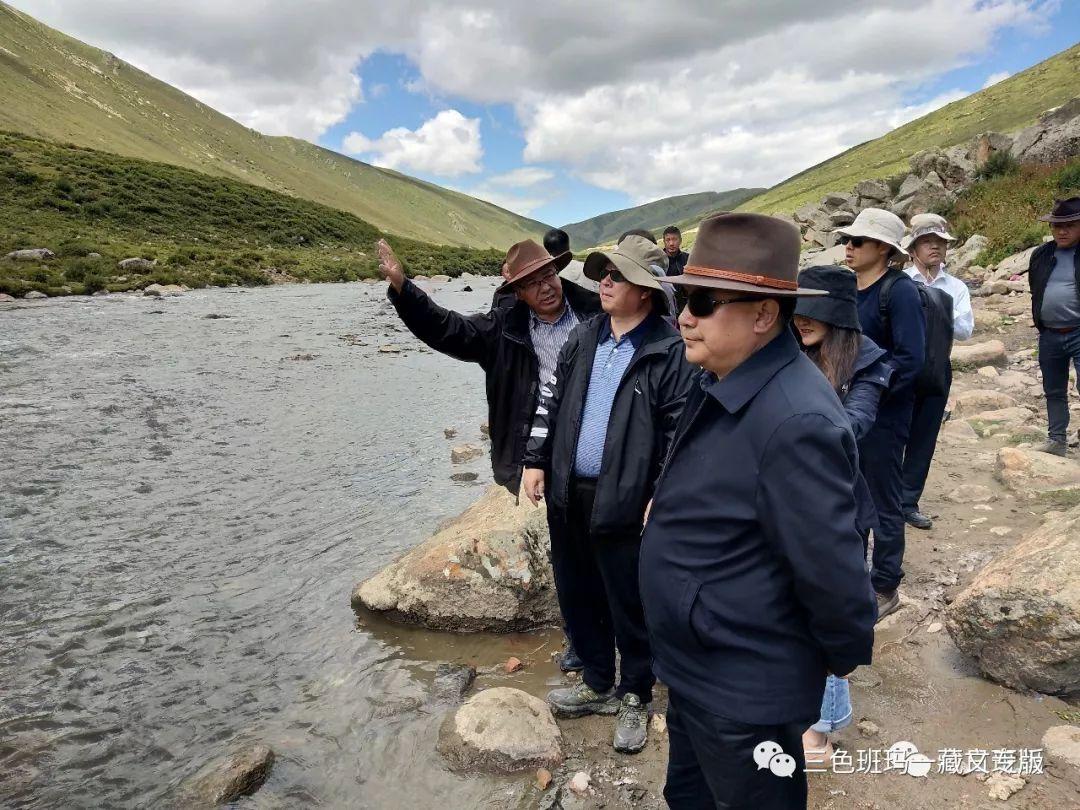 1565765672410880.jpg 5.jpg