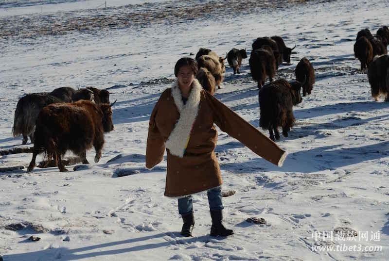 1569764955396549.jpg 10.jpg