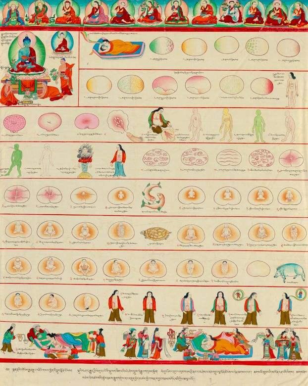 1605056578907095.jpg 5.jpg